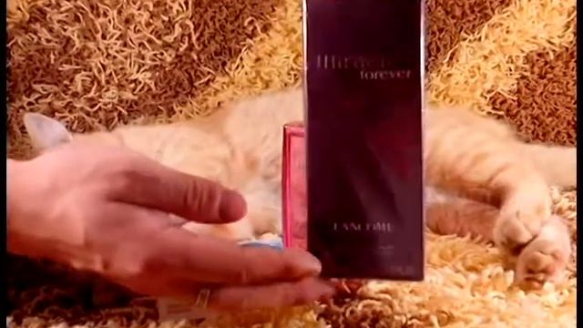 Парфюмированная вода Lancome Miracle Forever 75ml обзор смотреть онлайн