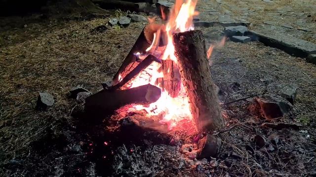 Жизнь Соло: Твоя жизнь бессмысленна, говорили они... смотреть онлайн