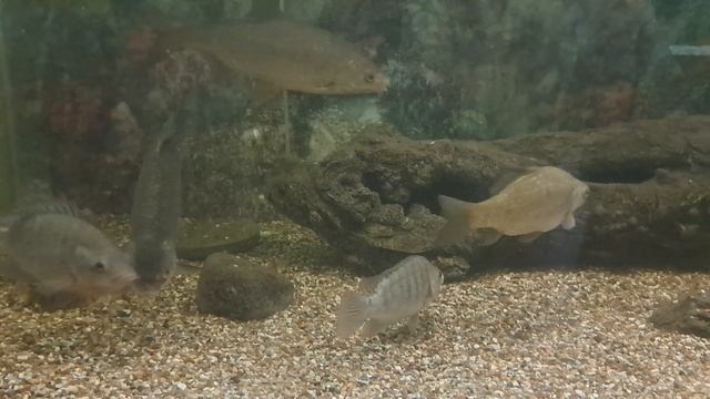 ПОДВОДНЫЙ МИР смотреть онлайн