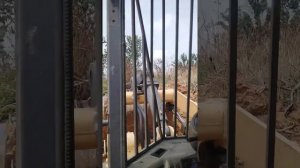 Changlin ZL30H loading DT