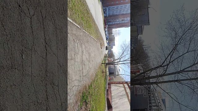 Я иду со школы домой