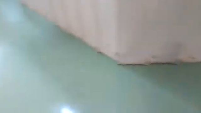Видеоотчёт готового полимерного покрытия на складе ООО БСС в Ленинградской области смотреть онлайн