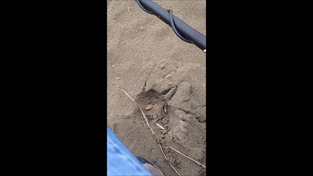 пляжный коп смотреть онлайн