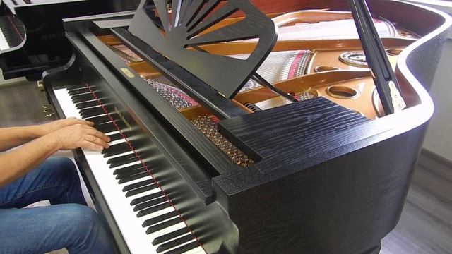 Рояль August Förster 190 (Германия) черный смотреть онлайн