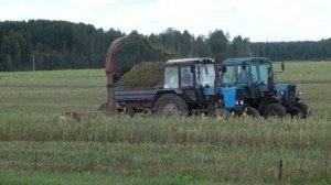 Заготовка силос тракторами  МТЗ 82,82.1 с прицепным комбайном ROSTSELMASH