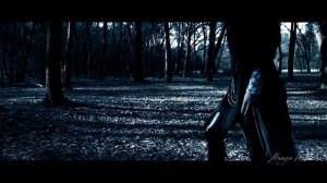 Severus and Hermione ~ Fade out ~ Snager