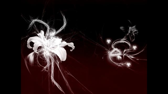 IRENA -GILDUTYTĖ ATLIKIMAS IR ZODZIAI AUTORES, MUZIKA RAIMUNDO NAVIKO смотреть онлайн