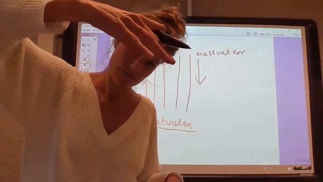 Biologie met juf Stout poging 2 les 7 PLanten смотреть онлайн