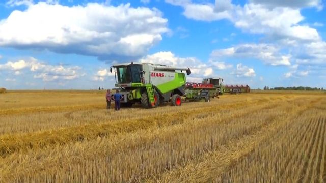 Уборочная компания 2019: Комбайны Claas Lexion 770,760,580,540 начали уборку зерновых в СПК "Гигант смотреть онлайн