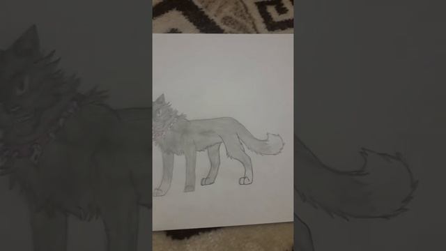 Мои рисунки коты воители(и нетолько)