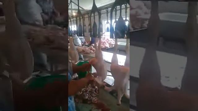 Линия убоя птицы, конвейерного типа смотреть онлайн