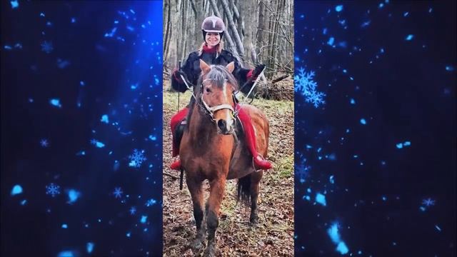 Цымбалюк Романовская оседлала молодого жеребца (09.01.2018) смотреть онлайн