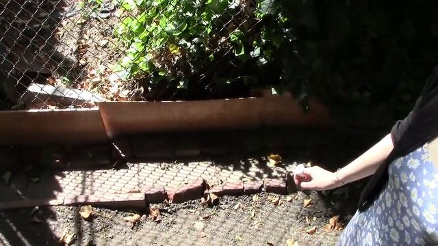 Philly Backyard Gardening with Samantha Lynn | Part 2 смотреть онлайн
