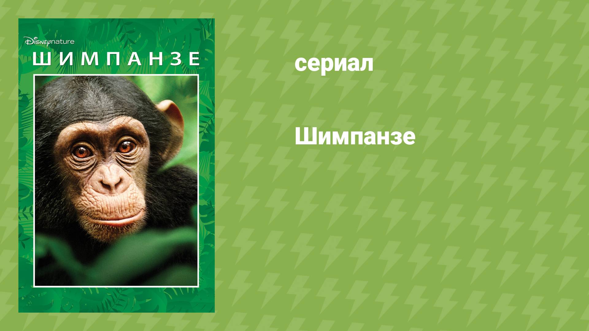 Шимпанзе (документальный фильм, 2011) смотреть онлайн