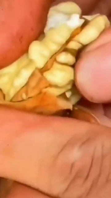 WALNUT #walnut #shorts #youtubeshorts смотреть онлайн