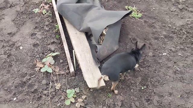 Люськины игры смотреть онлайн