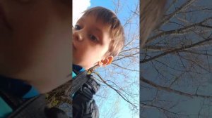 ∧_∧::
      (´･ω･`)::
  /⌒        ⌒)::
 /へ_＿  / /::
(＿＼＼  ﾐ)/::
     ｜ `-イ::
     /          )::