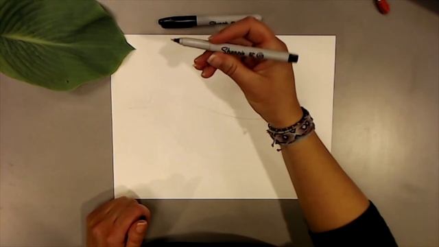 Afternoon Art with Ms. Jennifer at BRAHM: Frank Lloyd Wright inspired Nature Patterns смотреть онлайн