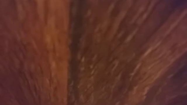 How To Make A Random Spring Trap Mask