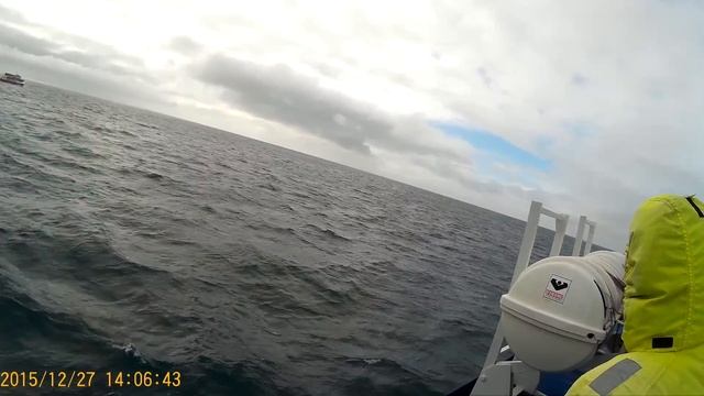 Whale Watching - Greenland Sea, Iceland - 3/21/16 смотреть онлайн