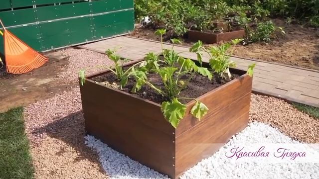 Полезным и стильным приобретением для вашей дачи станут грядки нашего производства смотреть онлайн