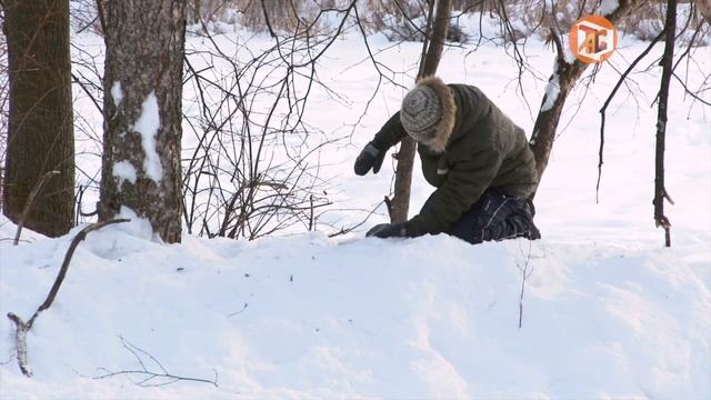 Перестарался .mov смотреть онлайн