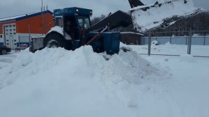 т-40АМ с куном засадили.03.02.2021.