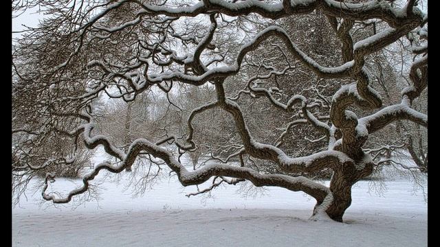 А  Пушкин  Вот север, тучи нагоняя    Отрывок из романа Евгений Онегин #стихиозиме #поэты19века
