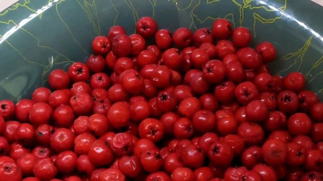 Handmade /ROWAN BEADS /ЭКО - БУСЫ ИЗ РЯБИНЫ /МАСТЕР -КЛАСС смотреть онлайн