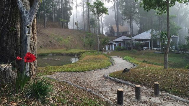 Долгачев В.В. Рекомендации обучающимся смотреть онлайн