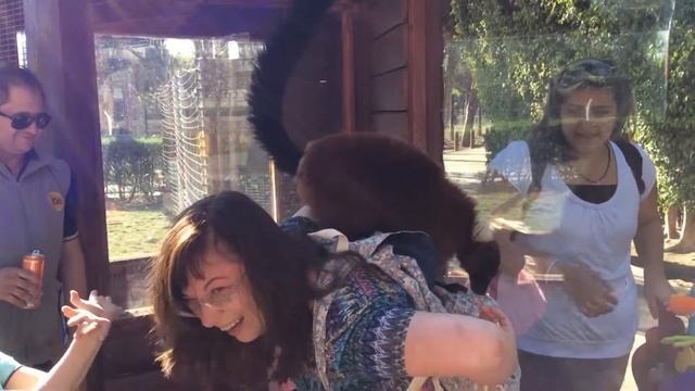 Живой батут смотреть онлайн
