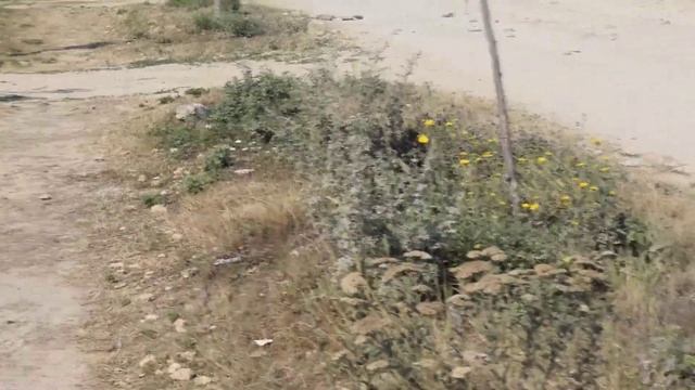 по улице Мира к морю в Витязево часть 2 смотреть онлайн