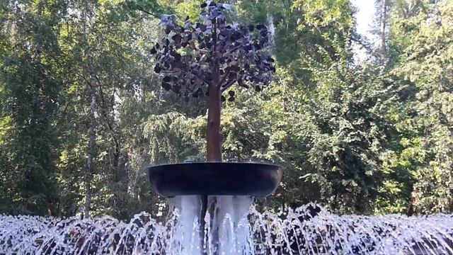 Фонтан исполнения желаний Wish fulfillment Fountain смотреть онлайн