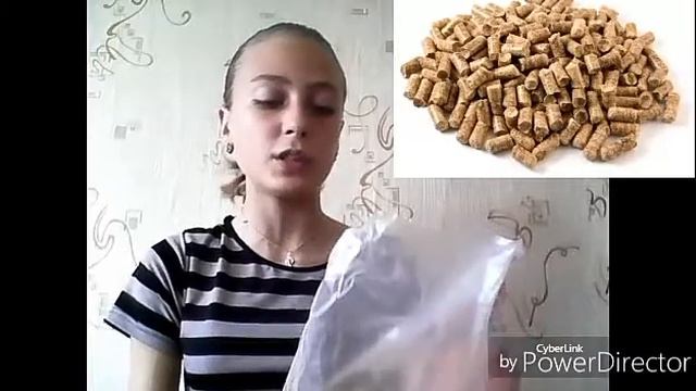 Хомяки и их содержание/ все что им нужно! смотреть онлайн