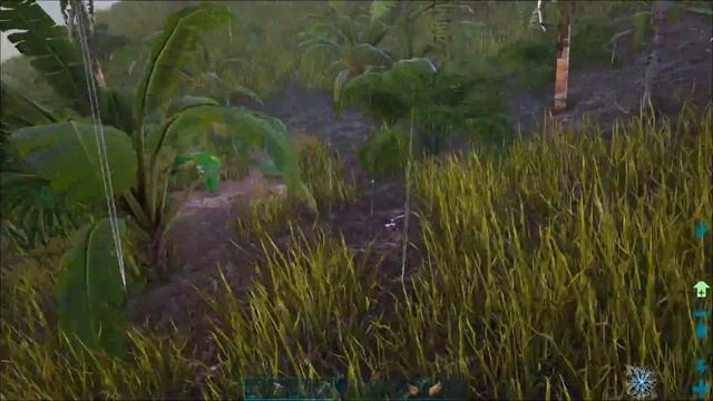 30: The Best Way to Get Wood on Ark Switch at a Low Level - The Ark Switch Survival Guide смотреть онлайн