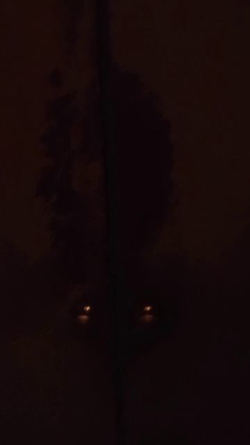 СПУСК НА ДРЕВНЕМ ЛИФТЕ КОМПАНИИ AMBRELLA