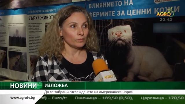 Централна емисия новини на АГРО ТВ - 25.03.2019 г. смотреть онлайн