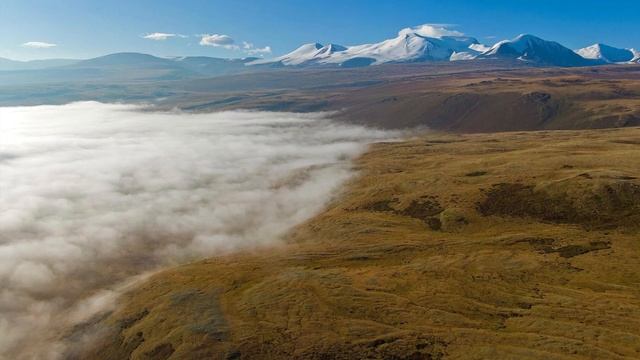 996.🎼. Ludovico Einaudi - «The Crane Dance» смотреть онлайн