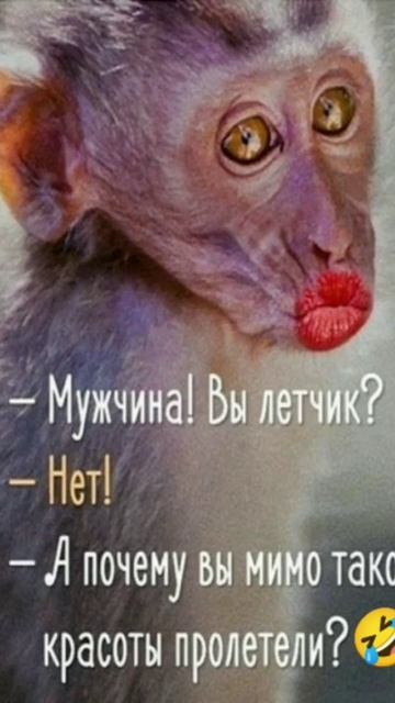 Смешные фото#shorts смотреть онлайн