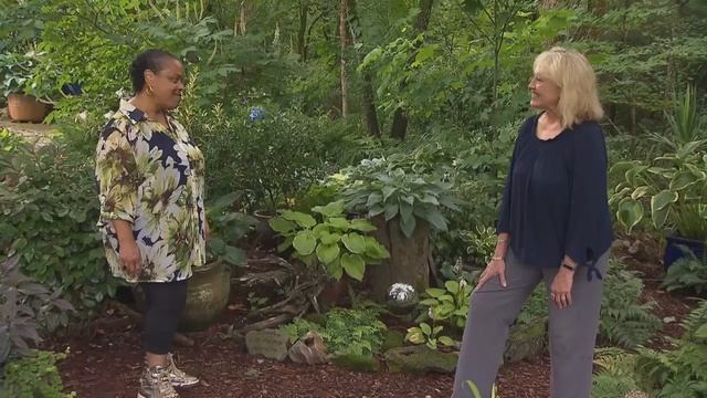 Made In The Shade | Volunteer Gardener