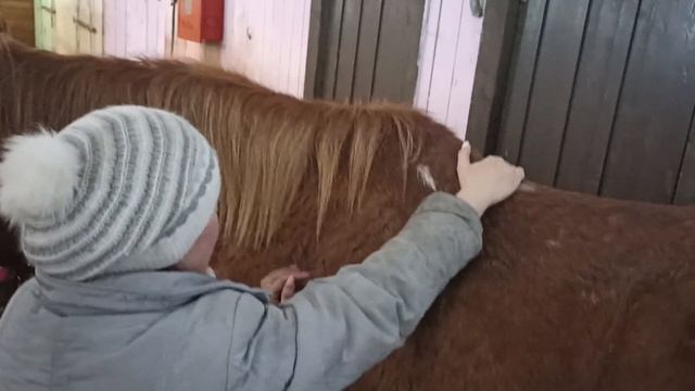 Хрусталь🥰делаем гимнастику(3) смотреть онлайн