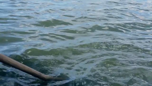 Рузилә Сафина - "Яратудан куркам" (Гөлнур Әхмәдуллина шигыре) смотреть онлайн