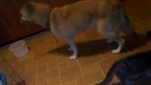 He ate pot brownies смотреть онлайн