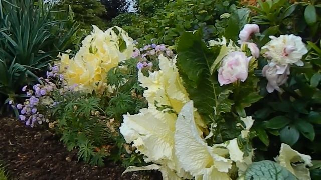 A Year in the Life of a Border - June, Wheel Border смотреть онлайн