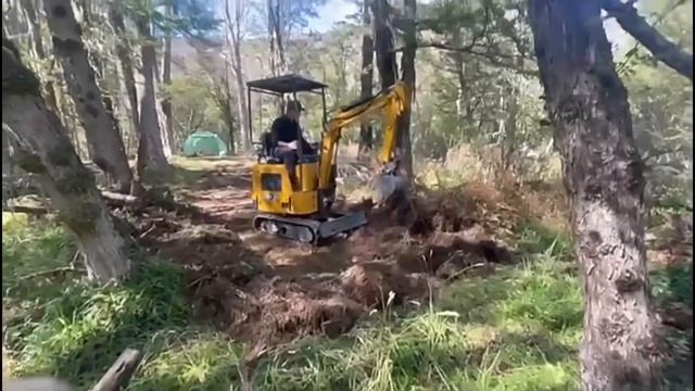 Китайский мини-экскаватор 1,7 тонн Hw-17 бренда Hengwang.