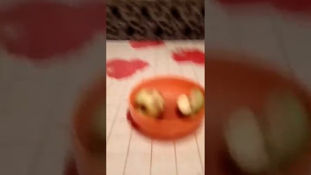 Хомяки трюки смотреть онлайн