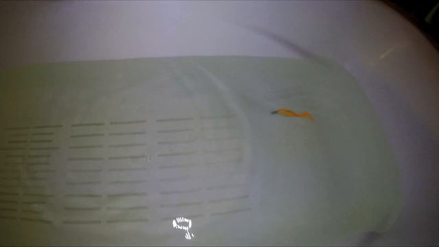 OOSHIMA смотреть онлайн