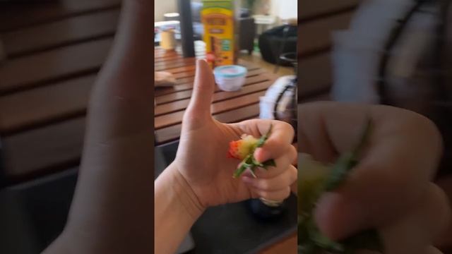 Joel Haver - Last Will And Testament