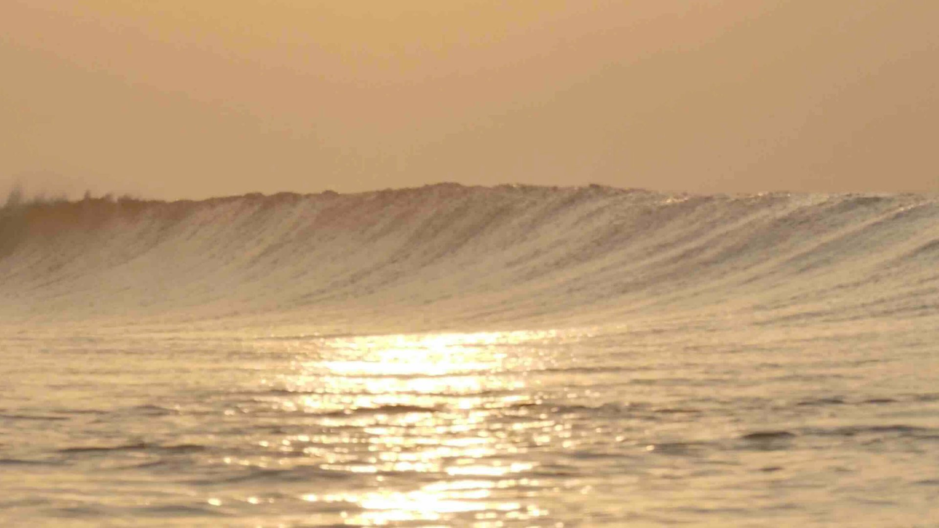 Новогодний серф-кэмп HAKULA на Мальдивах для начинающих серферов.
