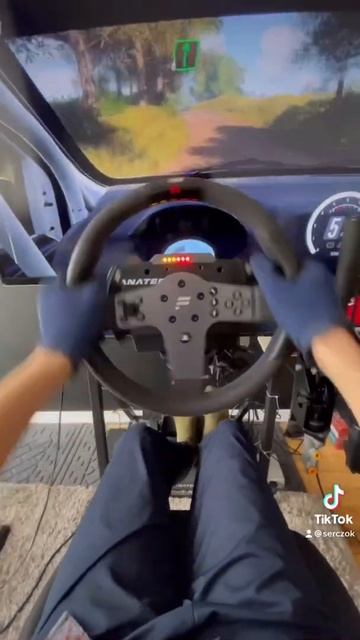 Dirt Rally 2.0 Fanatec POV смотреть онлайн